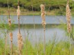Reserva Natural Laguna El Portil