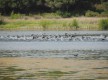 Reserva Natural Laguna El Portil