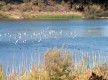 Reserva Natural Laguna El Portil