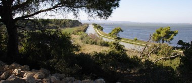 Réserve naturelle de l’île de Sainte Lucie