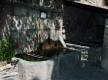 Le Lavoir du Castellet village