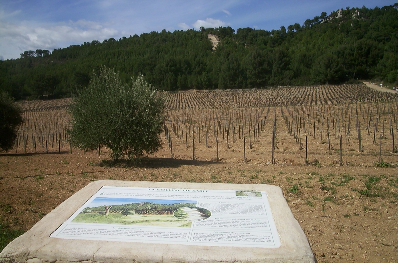 Déversoir de la Dune Eolienne Plaquée
