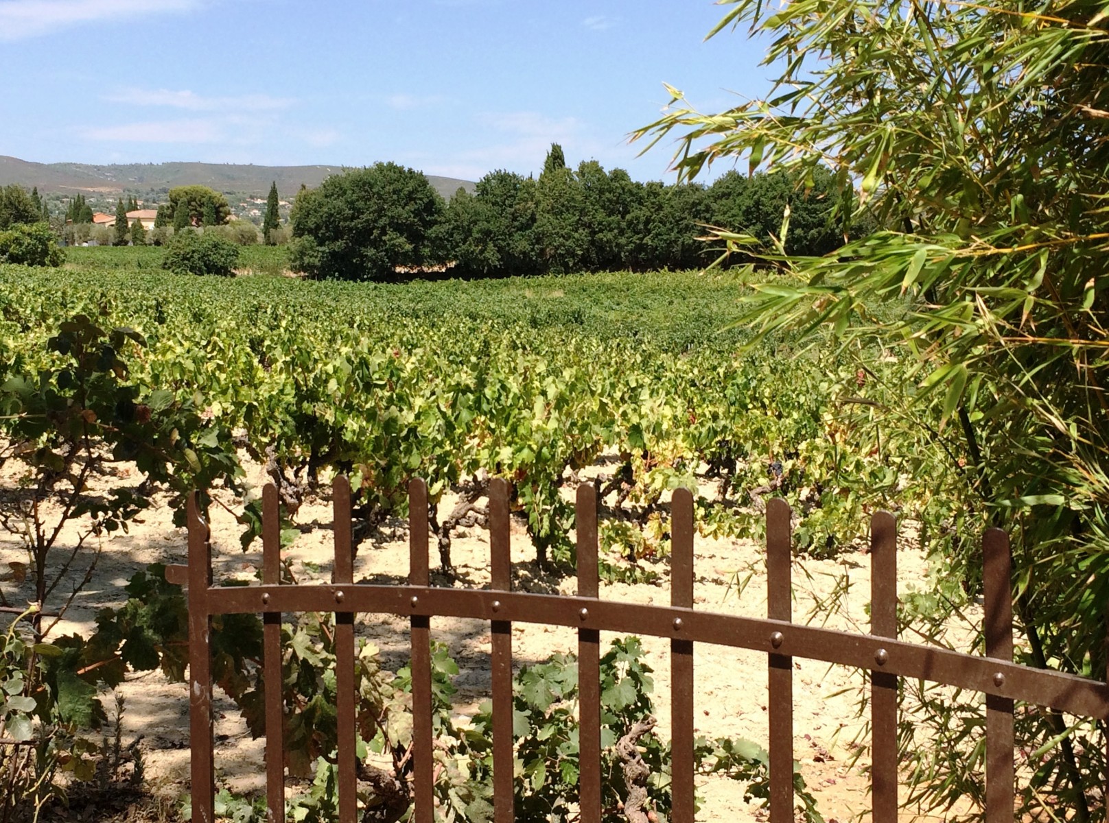 Domaine de Cagueloup