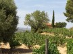 Domaine de la Tour du Bon