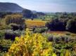 Domaine de la Tour du Bon