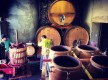 Domaine de la Tour du Bon