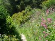 Sentier muletier du chemin des oratoires