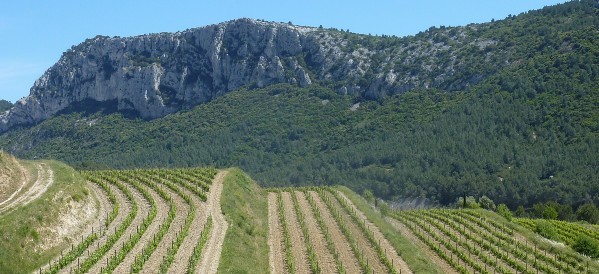 Château Val d'Arenc