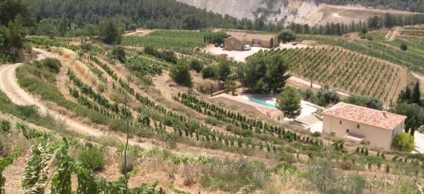 Château Barthès et Château Font Vive