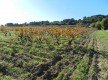 Chemin du Beausset au Castellet