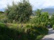 Chemin du Beausset au Castellet