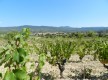 Chemin du Beausset au Castellet