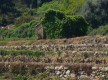 Chemin du Beausset au Castellet