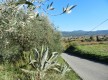 Chemin du Beausset au Castellet