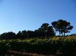 Chemin faisant vers le Castellet village par le chemin des Puech