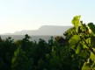 Vue sur le massif de la Sainte-Baume du chemin des Puech en directio du Cas