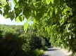 Vallée du Silence