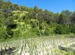 Vallée du Silence