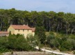 Balade dans la pinède a départ dela Maison de la Nature des 4 Frères...