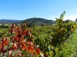 Vue sur la colline du Beausset-Vieux