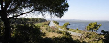 L'Ile de Sainte Lucie