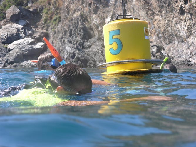 Le sentier sous-marin de Cerbère Banyuls
