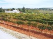 Quinta dos Vales Wine Estate