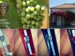 Quinta do Barradas