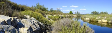 Le Site Naturel Départemental des Dosses