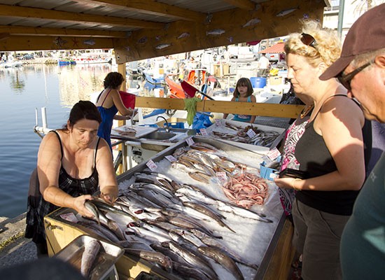 Vente à quai / pêche du jour