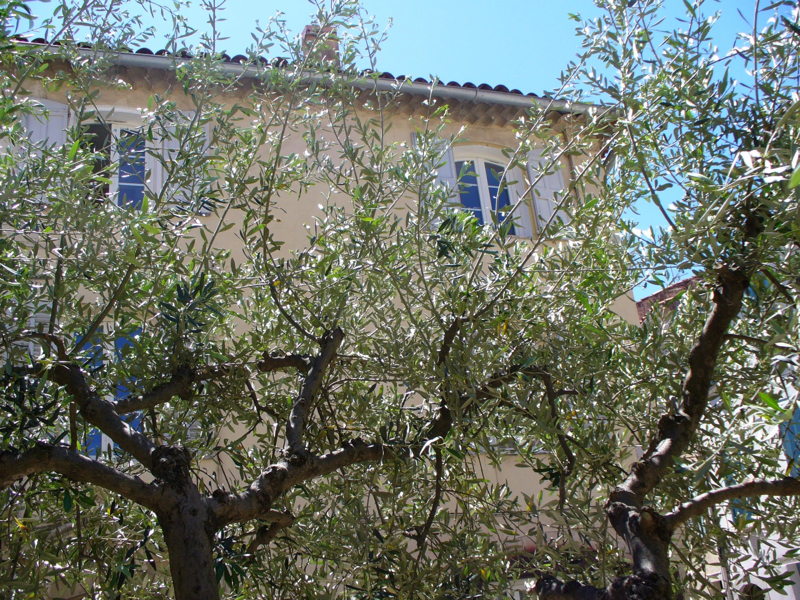 Le Beausset/Place Frédéric Mistral