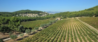 Rando entre mer et vignes