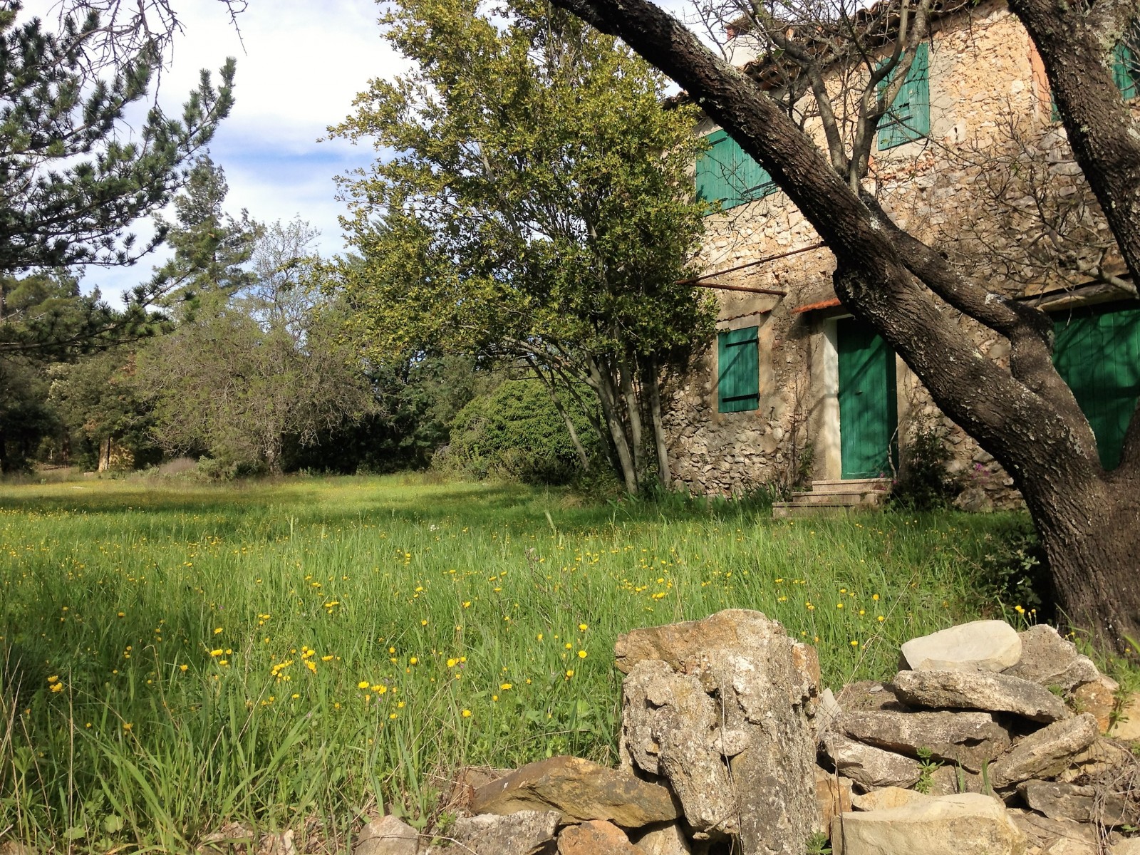 La provence de Pagnol