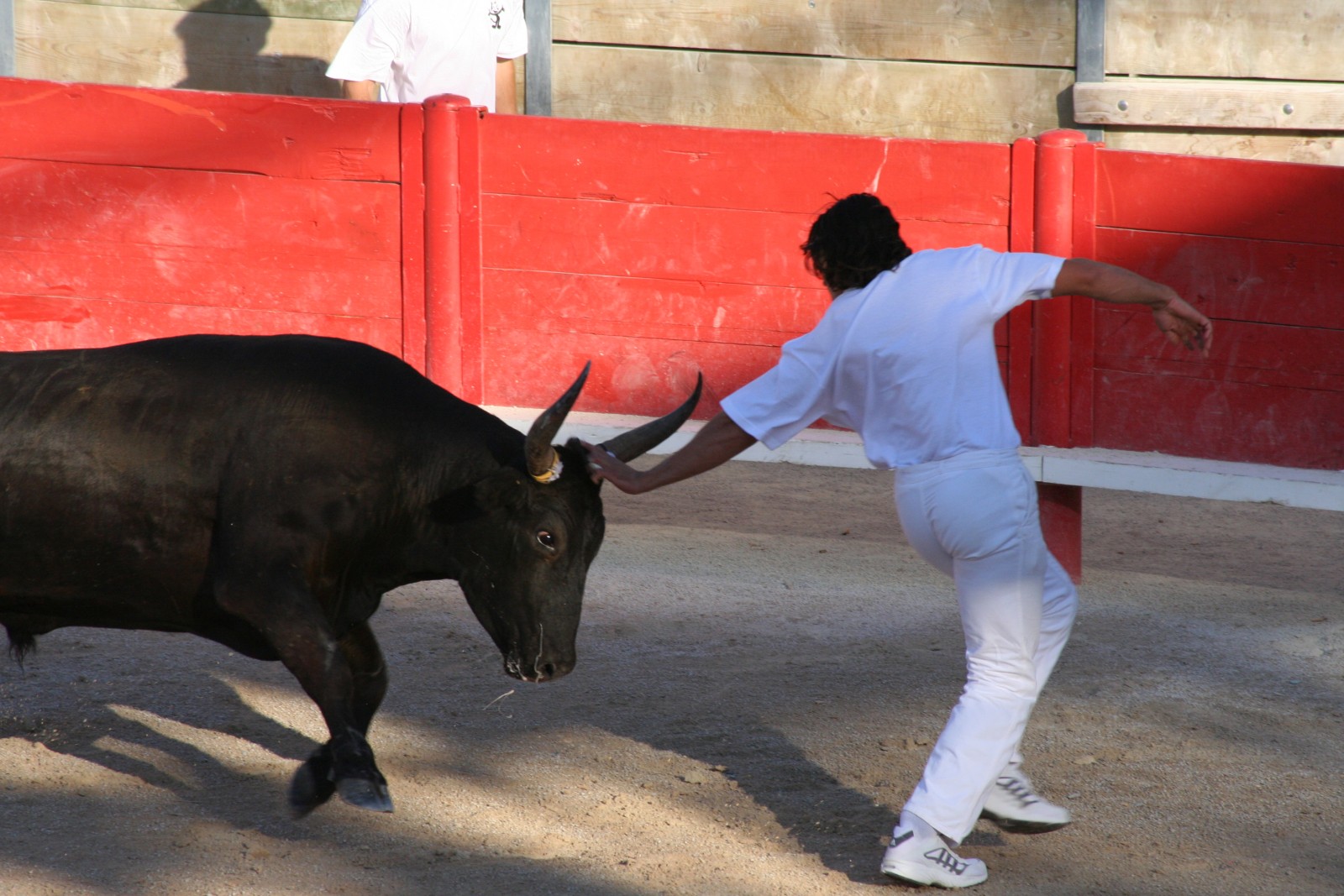 Traditions camarguaises