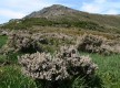 Monte Alticcione