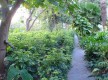 Huerto de las Flores