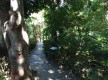 Huerto de las Flores