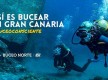 Publicidad