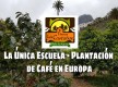 Coffee Plantation School / Fincas los Castaños