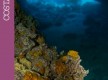 Zona de Buceo “Costa Noreste”