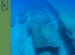 Zona de Buceo “Playa Blanca”