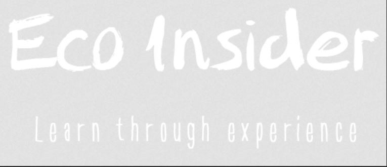 Eco Insider / Lanzarote Active Club