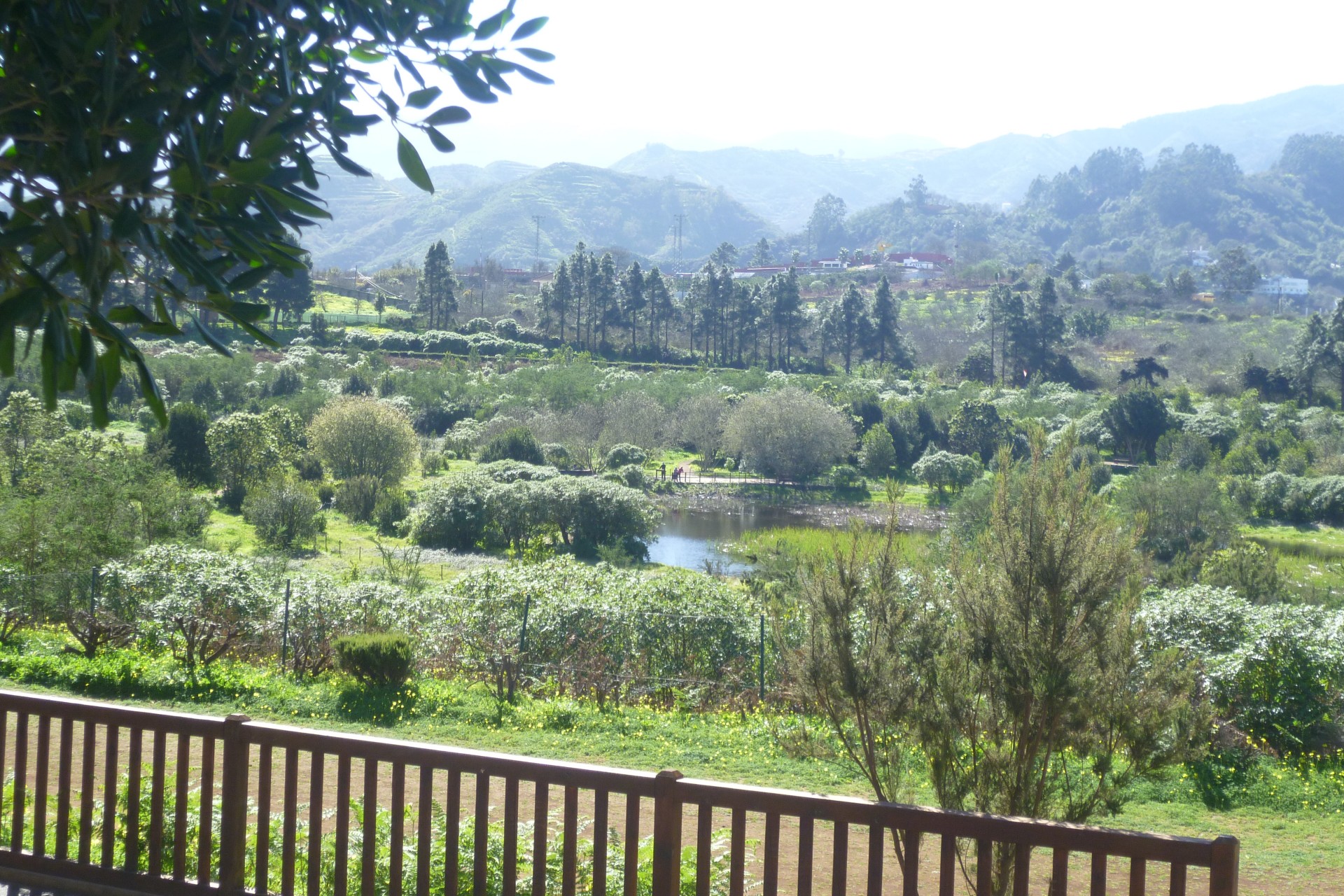 La Laguna de Valleseco