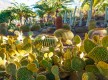 Cactualdea Park
