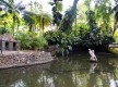 Jardim Municipal do Funchal