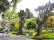 Jardim Municipal do Funchal