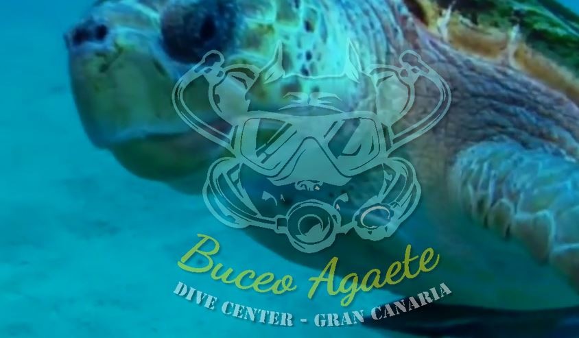 Buceo Agaete – Dive Center