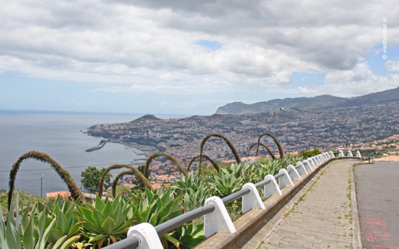 Miradouro das Neves