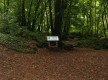 Foto cedida por la Fundación Reserva de la Biosfera La Palma