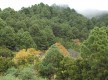 Foto cedida por Turismo La Palma